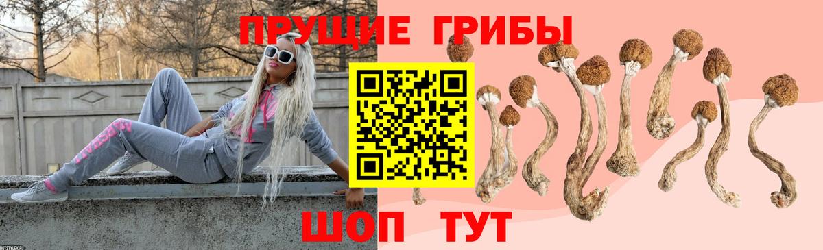 Галлюциногенные грибы ЛСД  Вход с VPN  Феодосия 